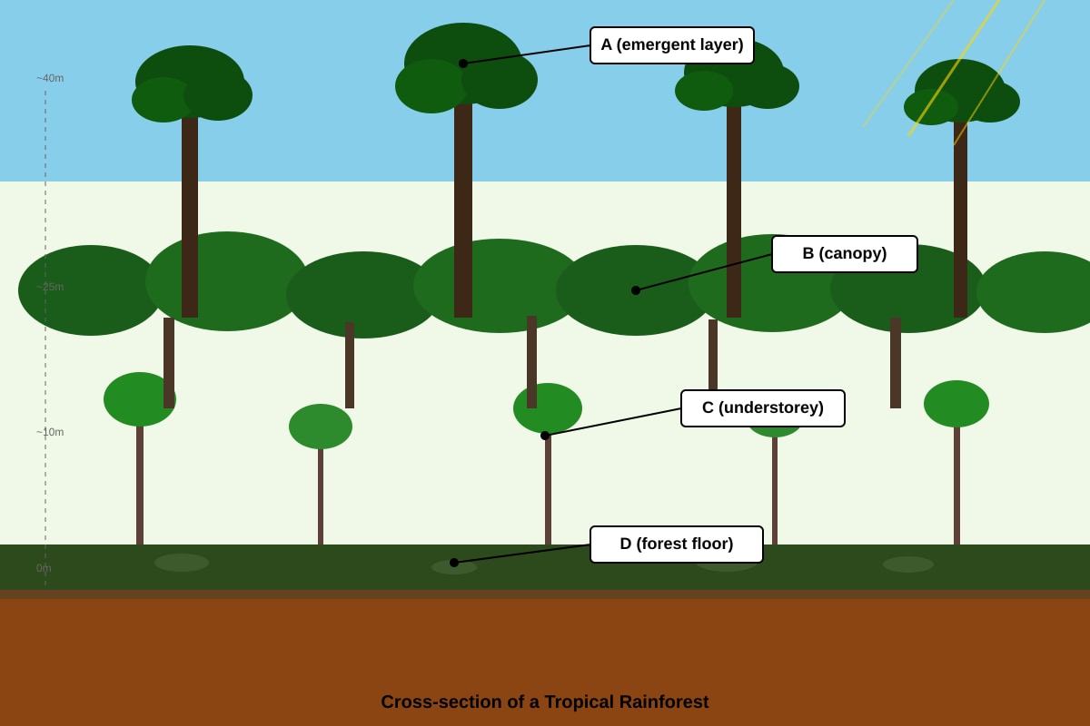 Diagram for Q11 (SEC1 Geography)