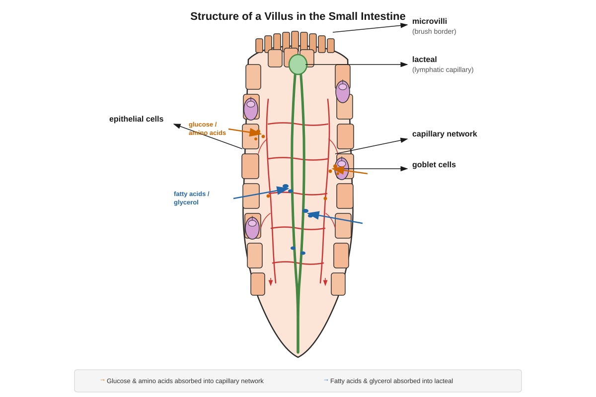 Diagram for Q17 (SEC2 Science)