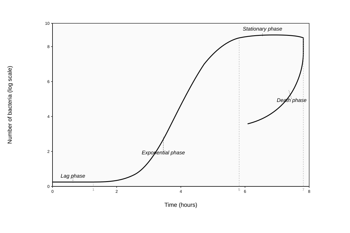 Graph for Q6 (ALEVEL Biology H1)
