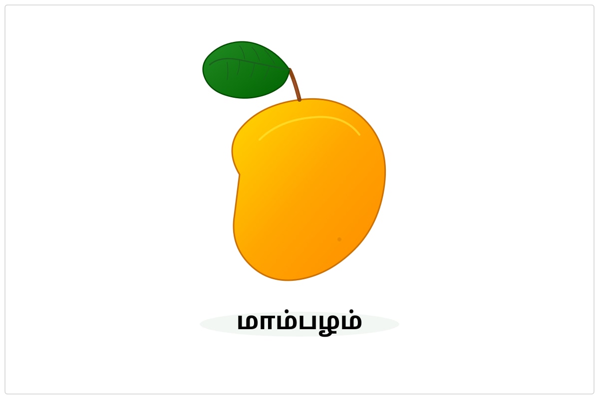 Picture for Q1 (P3 Tamil)