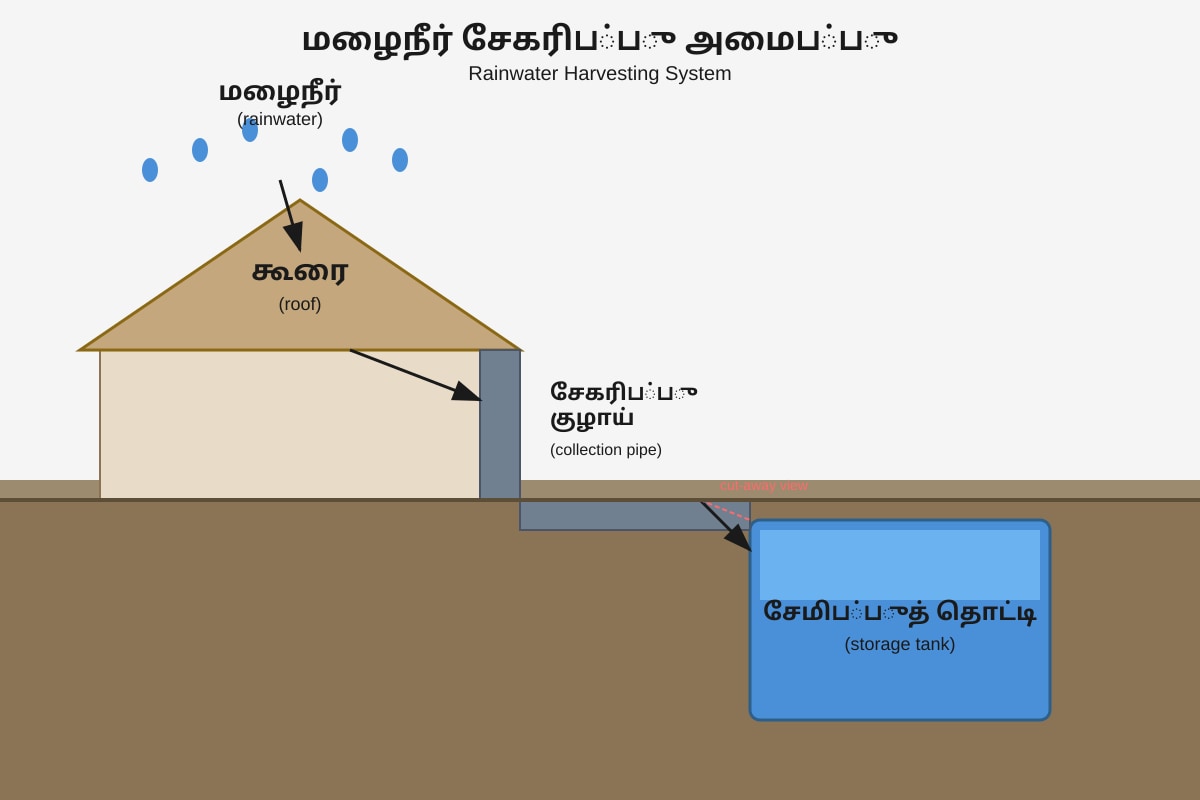 Diagram for Q13 (P5 Higher Tamil)