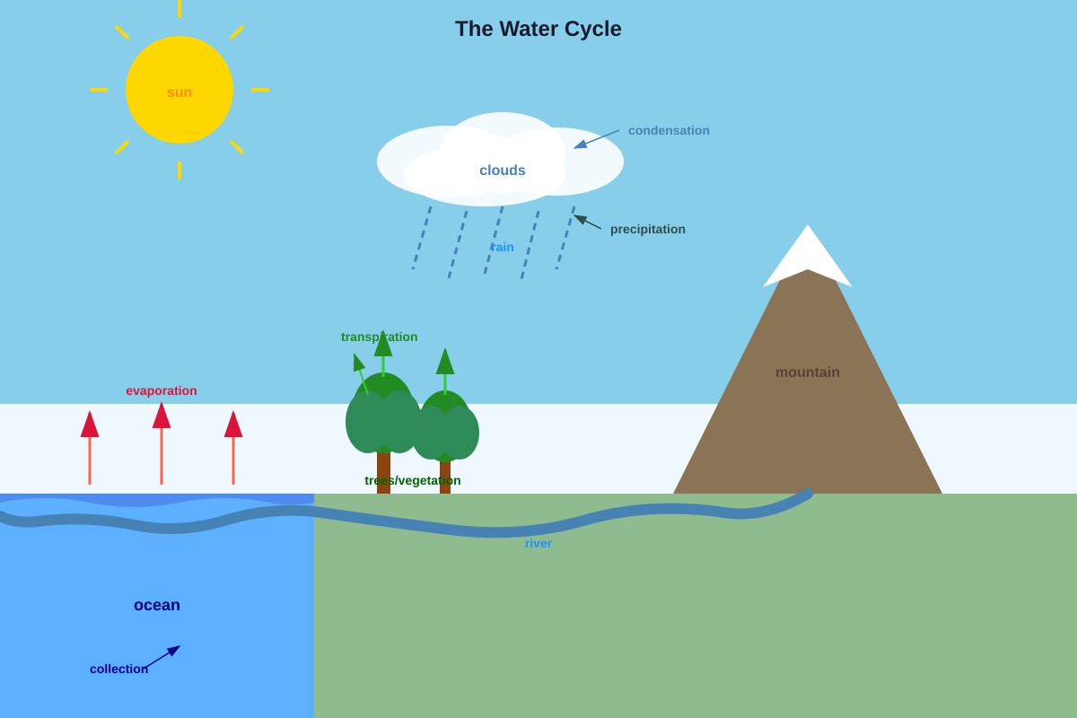 Diagram for Q27 (P6 Science)