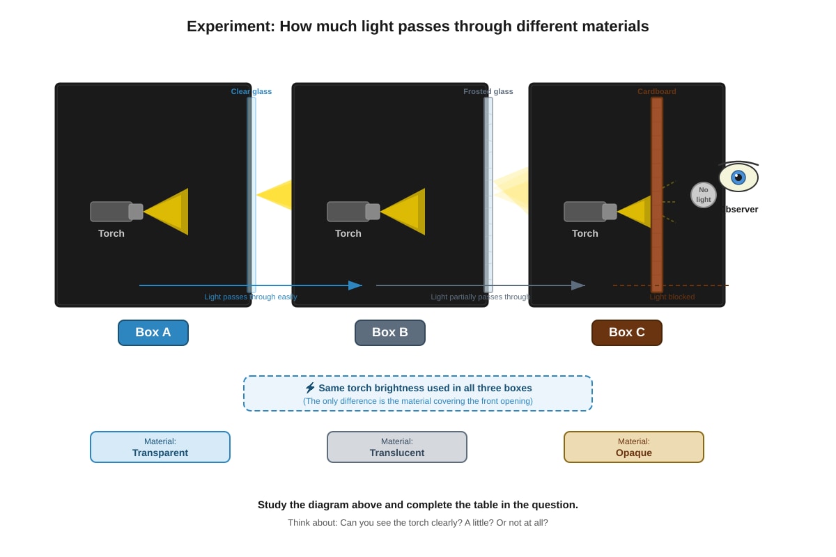 Experimental Setup for Q15 (P4 Science)