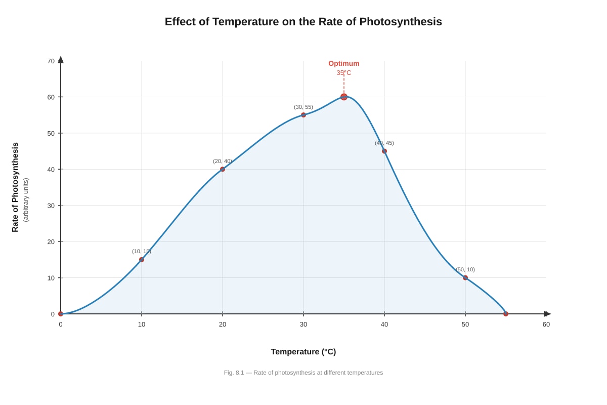 Graph for Q8 (SEC3 Biology)