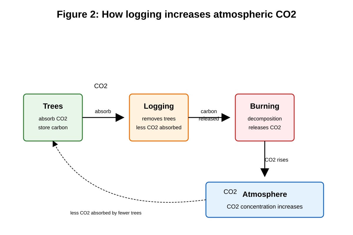 Diagram for Q11 (SEC2 Geography)