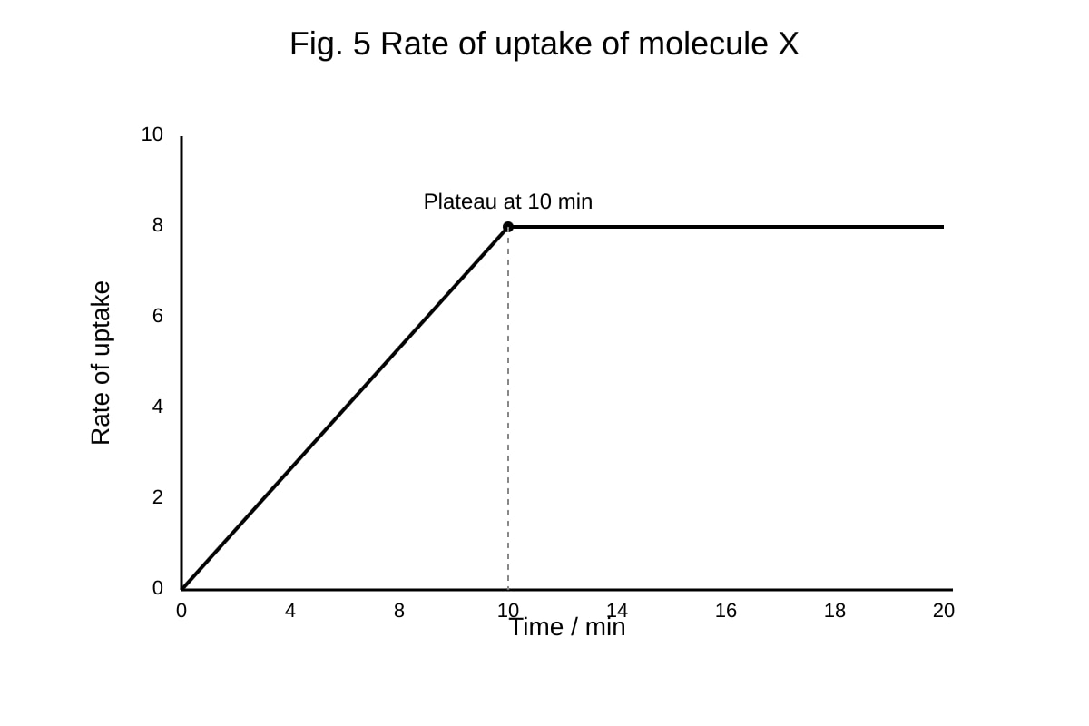 Graph for Q13 (ALEVEL Biology H1)