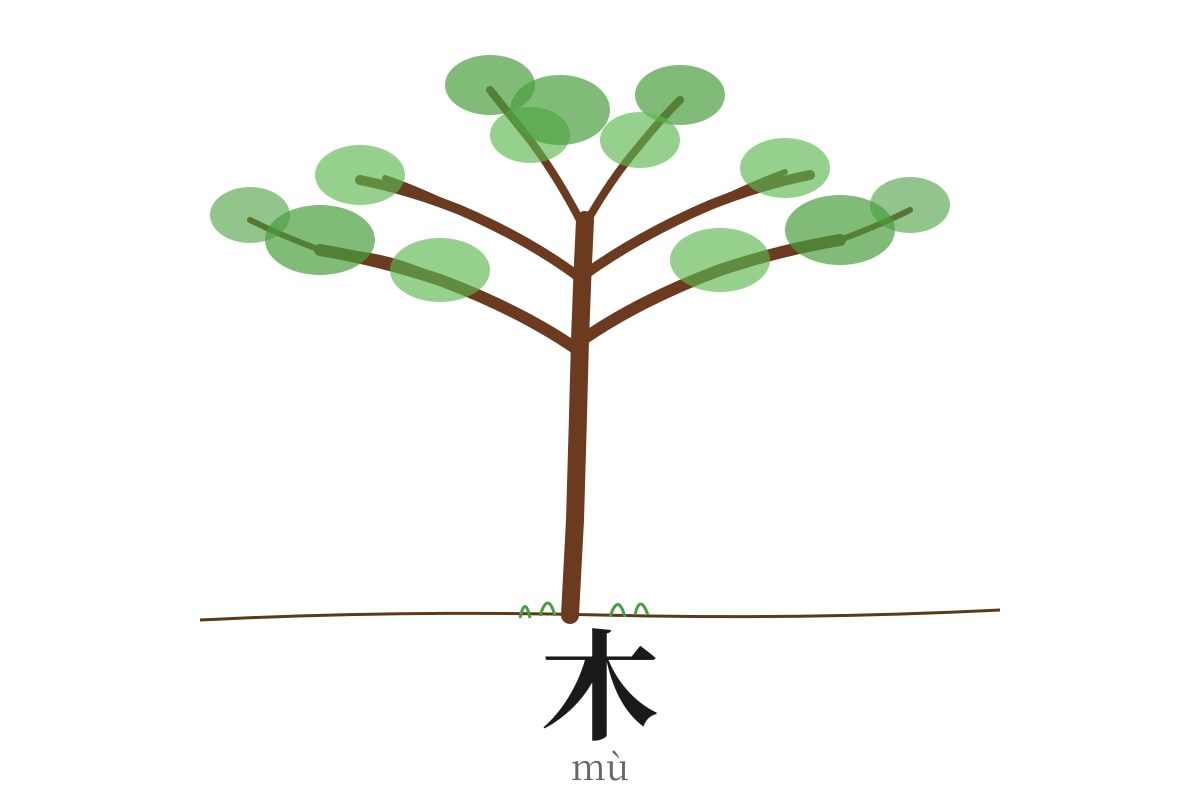 Figure for Q14 (P1 Chinese)