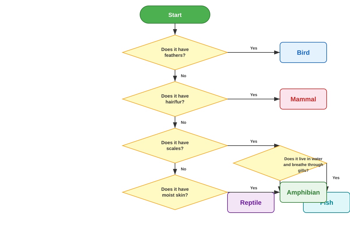 Diagram for Q6 (P6 Science)