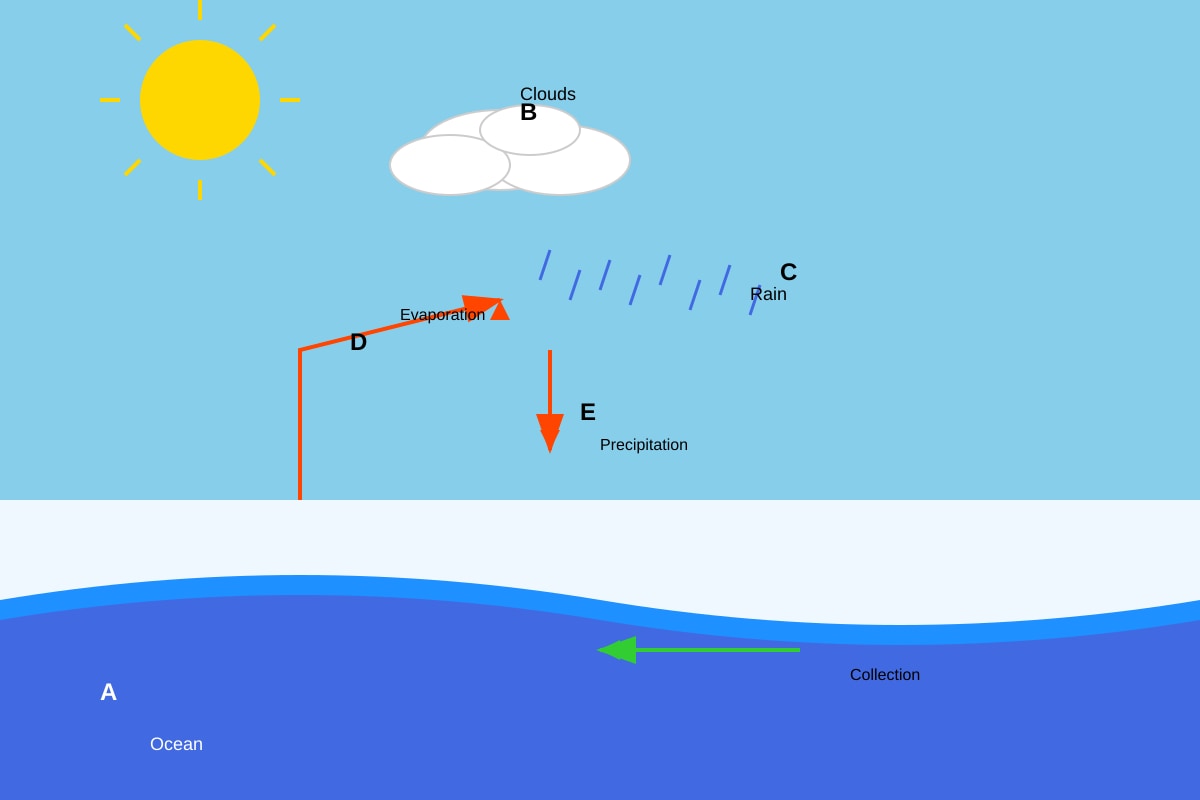 Diagram for Q13 (P4 Science)