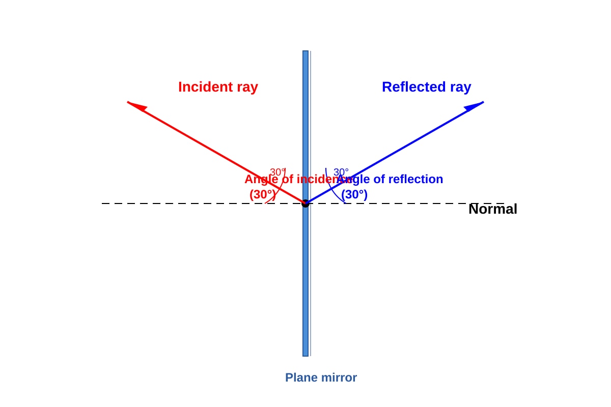 Diagram for Q21 (P6 Science)