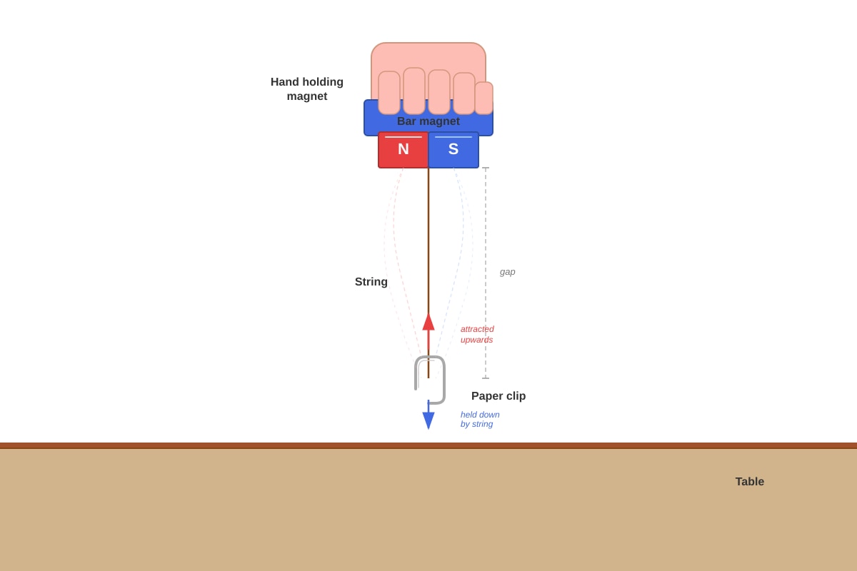 Diagram for Q20 (P4 Science)
