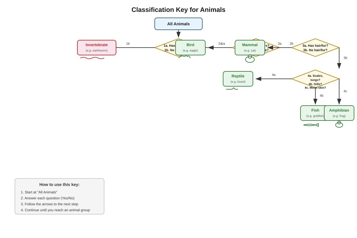 Diagram for Q29 (P4 Science)