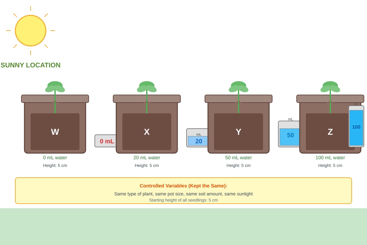 Experimental Setup for Q13 (P4 Science)