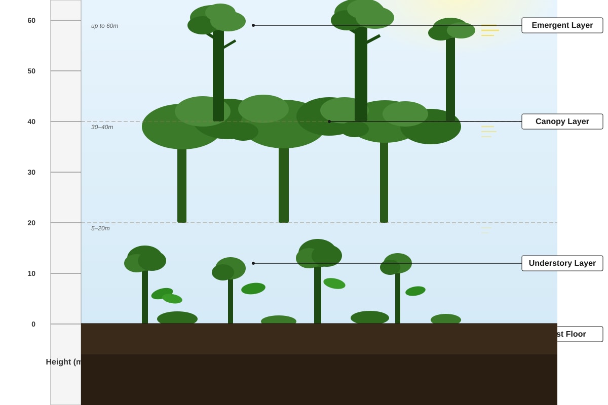 Diagram for Q6 (SEC2 Geography)