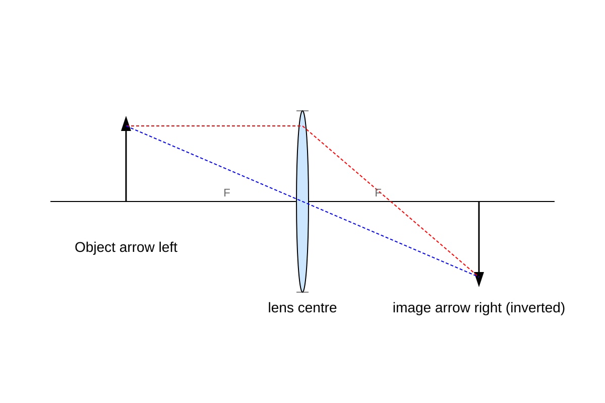 Diagram for Q18 (OLEVEL Combined Science)