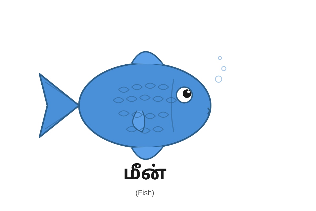 Diagram for Q12 (P1 Tamil)