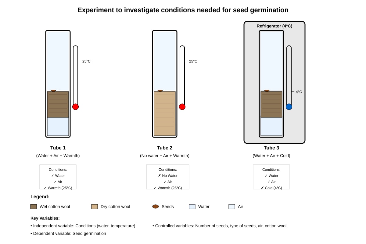Experimental Setup for Q20 (P6 Science)