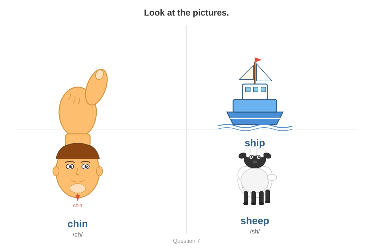 Diagram for Q7 (P1 English)