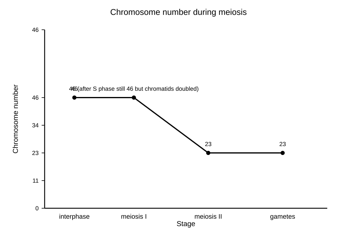 Graph for Q16 (OLEVEL Biology)