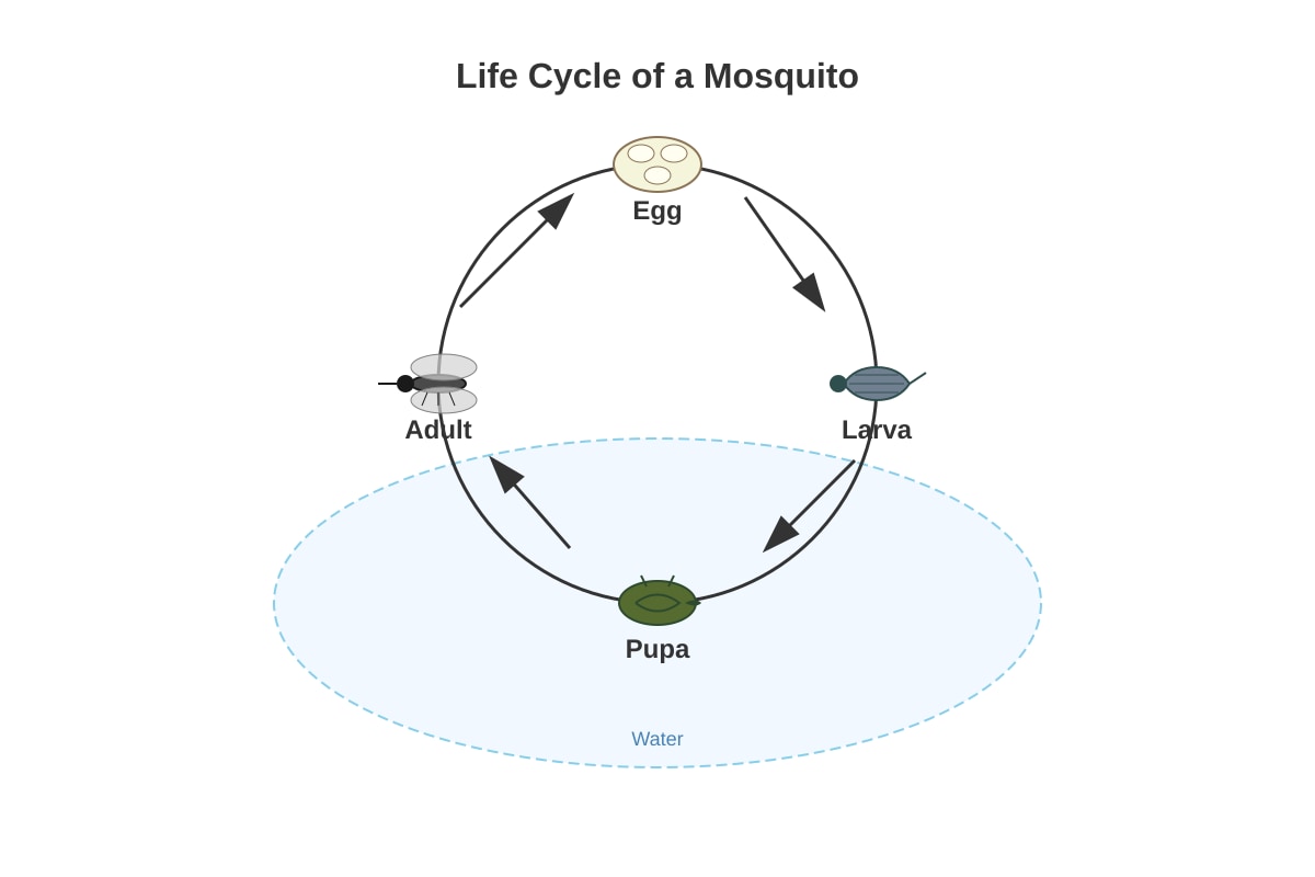 Diagram for Q5 (P5 Science)
