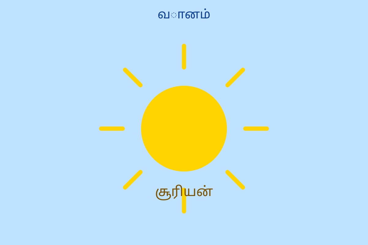 Diagram for Q17 (P1 Tamil)