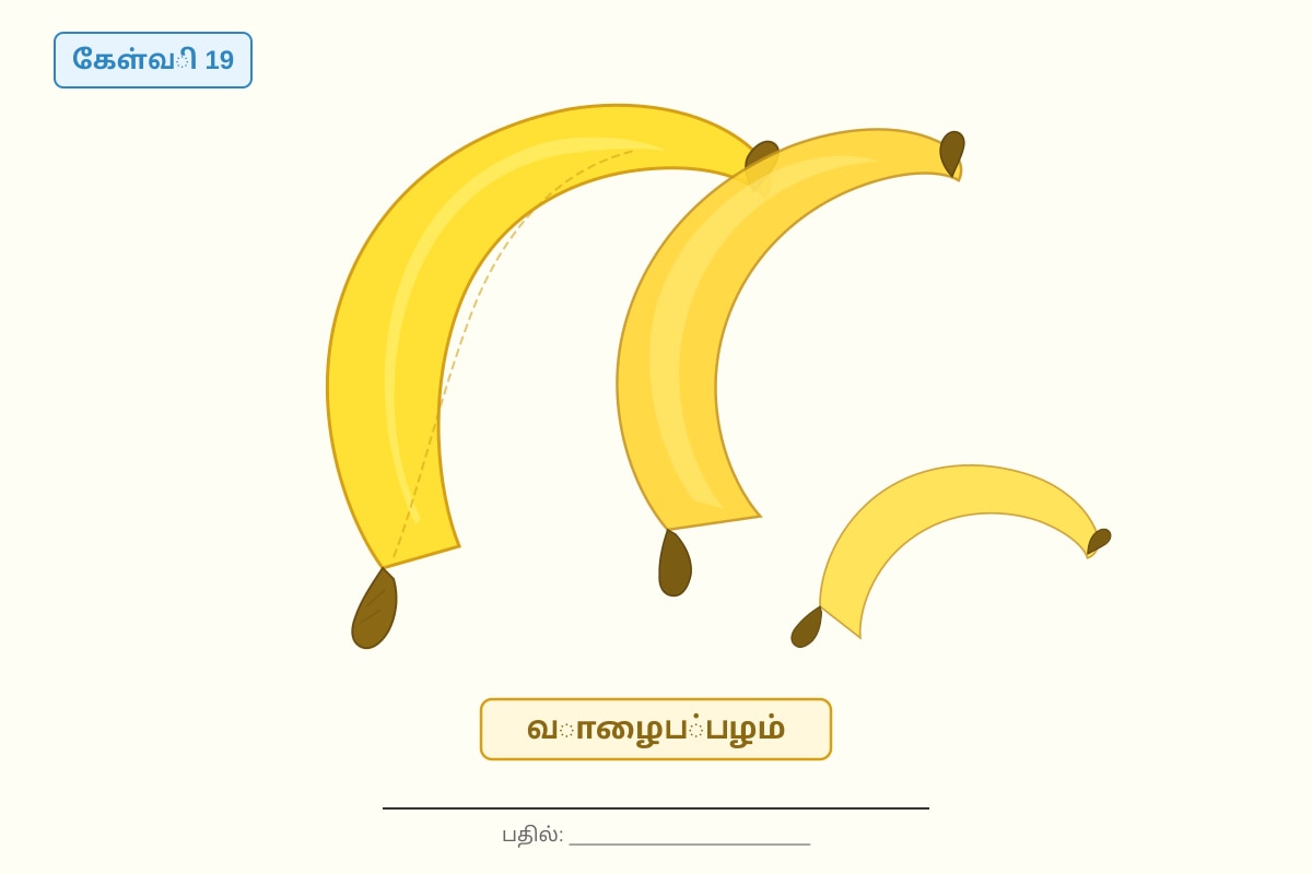Picture for placeholder 6 (P1 Tamil)