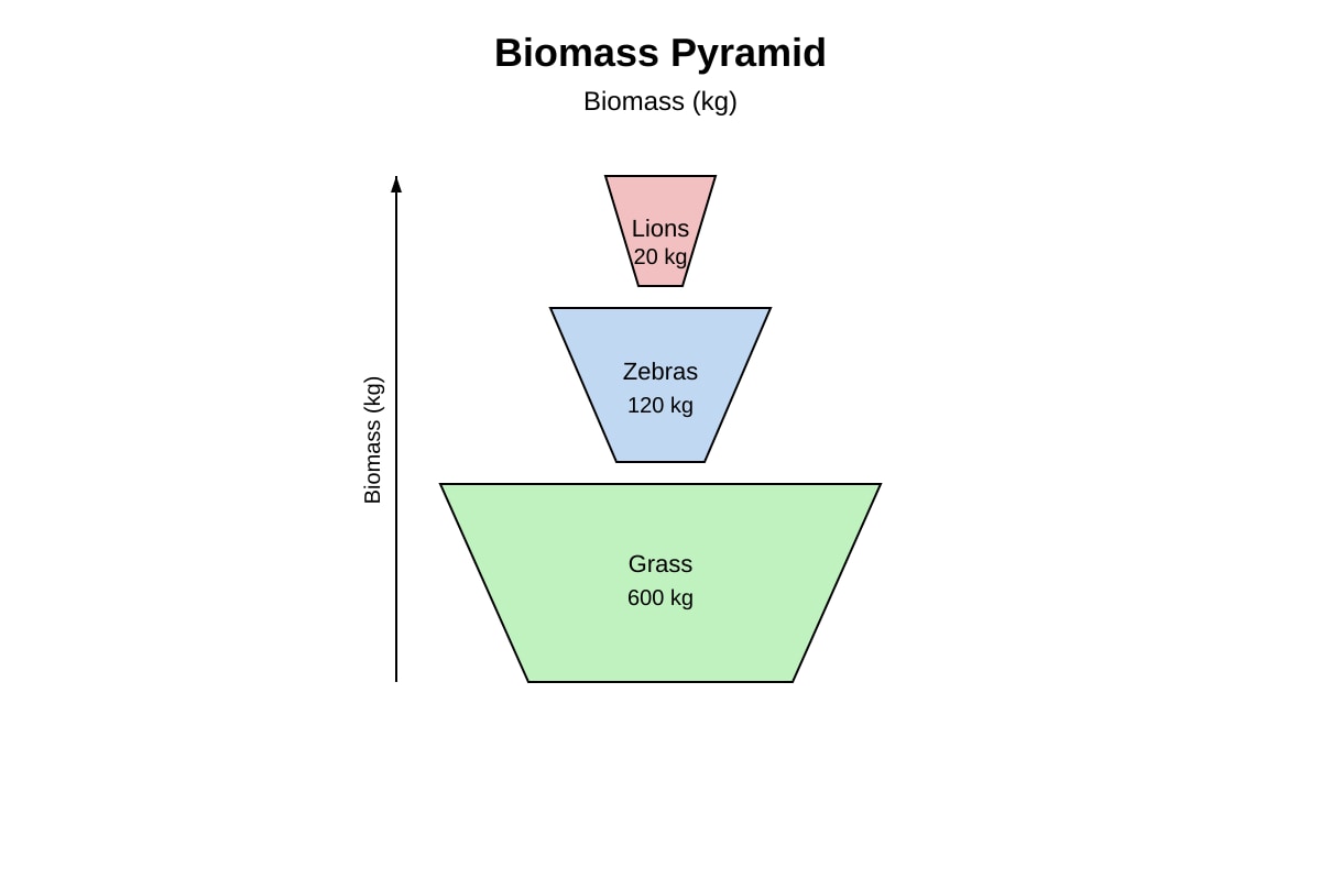 Graph for Q15 (SEC3 Biology)