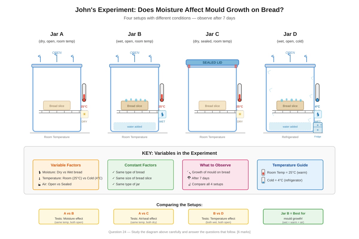 Experimental Setup for Q24 (P6 Science)