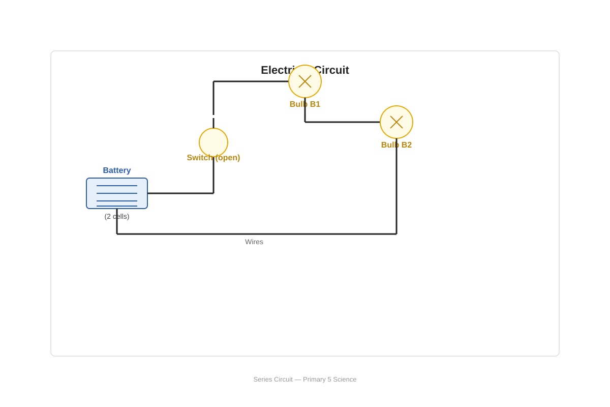 Diagram for Q18 (P5 Science)