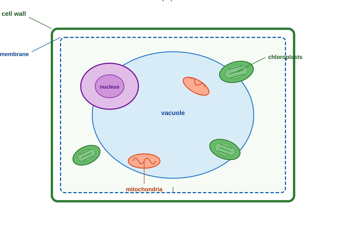Diagram for Q2 (SEC1 Science)