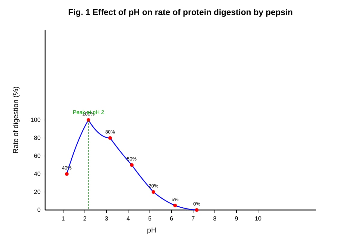 Graph for Q17 (SEC4 Pure Biology)