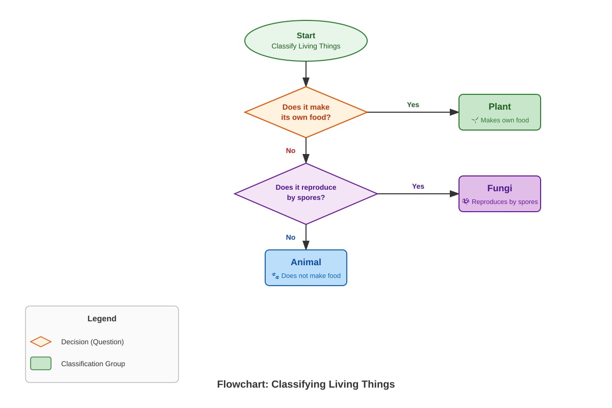 Diagram for Q6 (P4 Science)