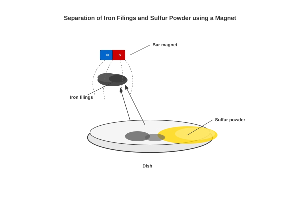 Experimental Setup for Q36 (P6 Science)