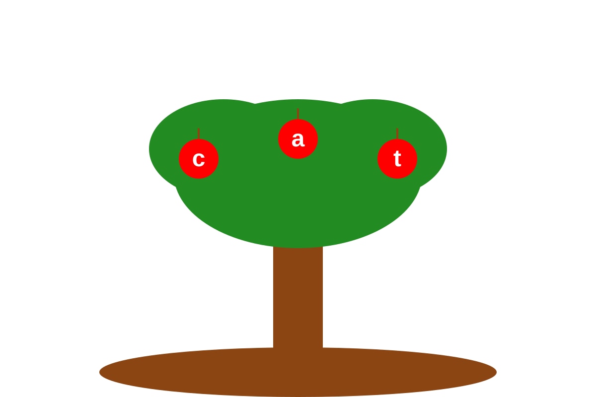 Diagram for Q13 (P1 English)