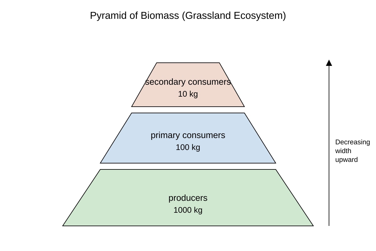 Diagram for Q14 (SEC4 Combined Sci Bio)