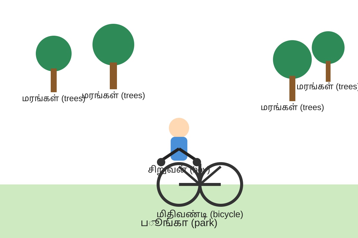 Diagram for Q15 (P5 Tamil)