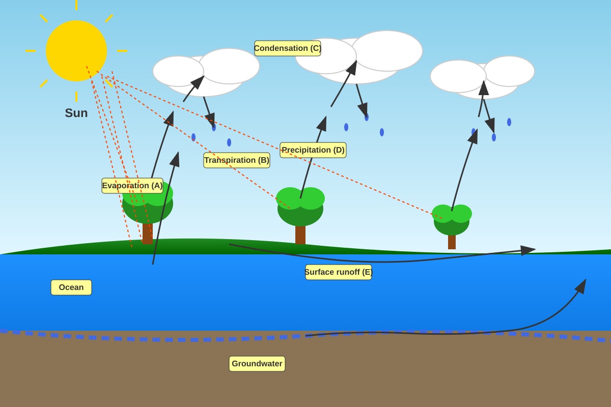 Diagram for Q11 (P5 Science)