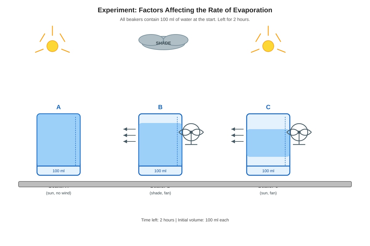 Experimental Setup for Q36 (P5 Science)