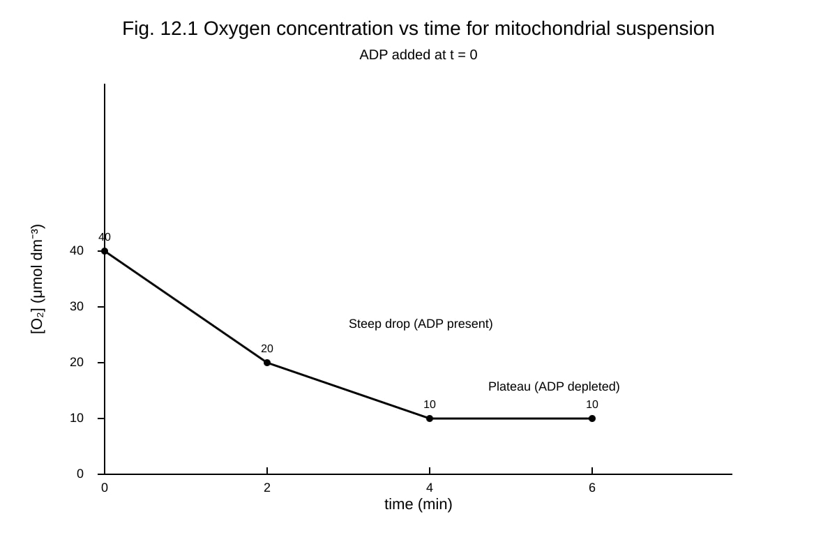 Graph for Q12 (ALEVEL Biology H2)