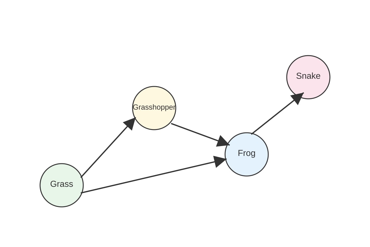 Diagram for 18 (P6 Science)