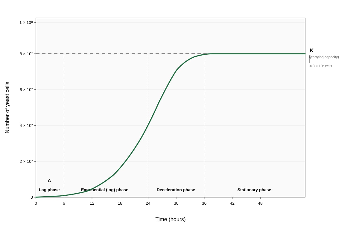 Graph for Q14 (ALEVEL Biology H3)