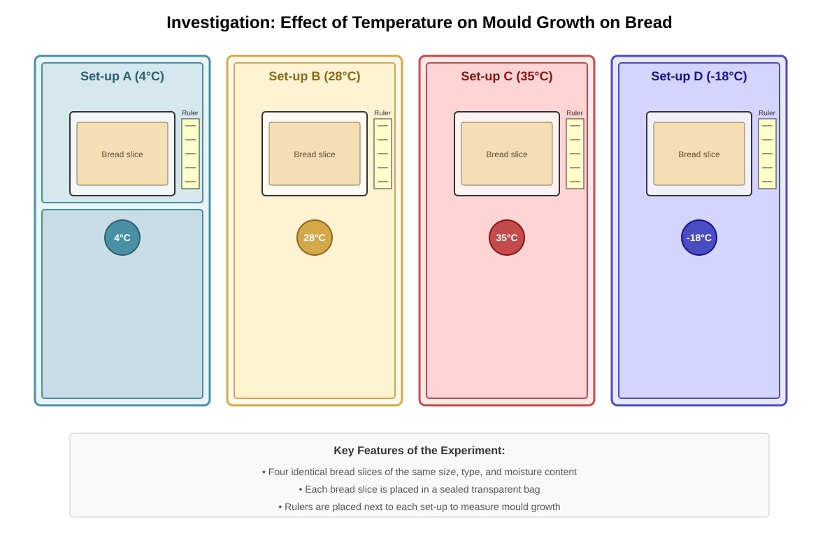 Experimental Setup for Q18 (P4 Science)