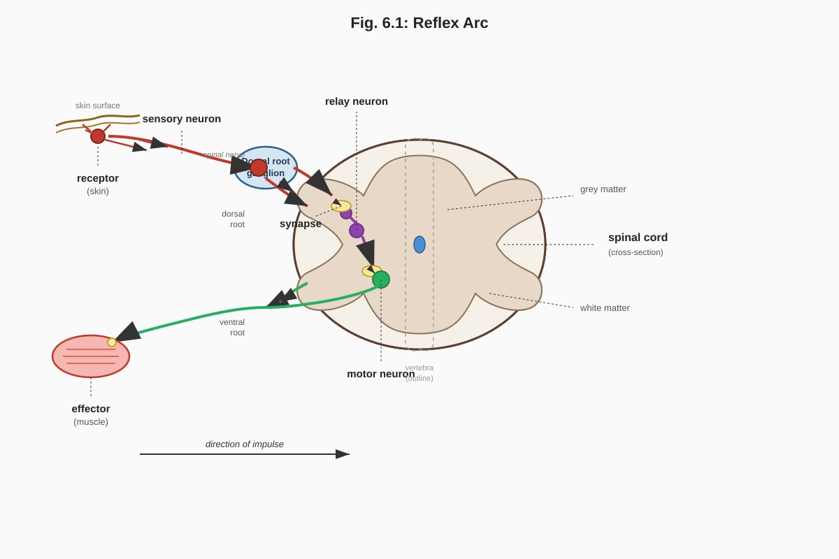 Diagram for Q6 (ALEVEL Biology H3)