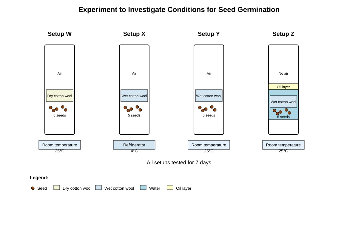 Experimental Setup for Q17 (P6 Science)
