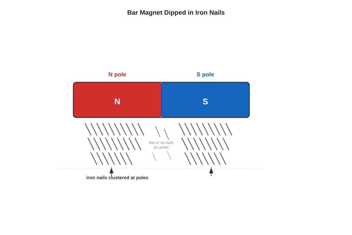 Diagram for Q31 (P6 Science)