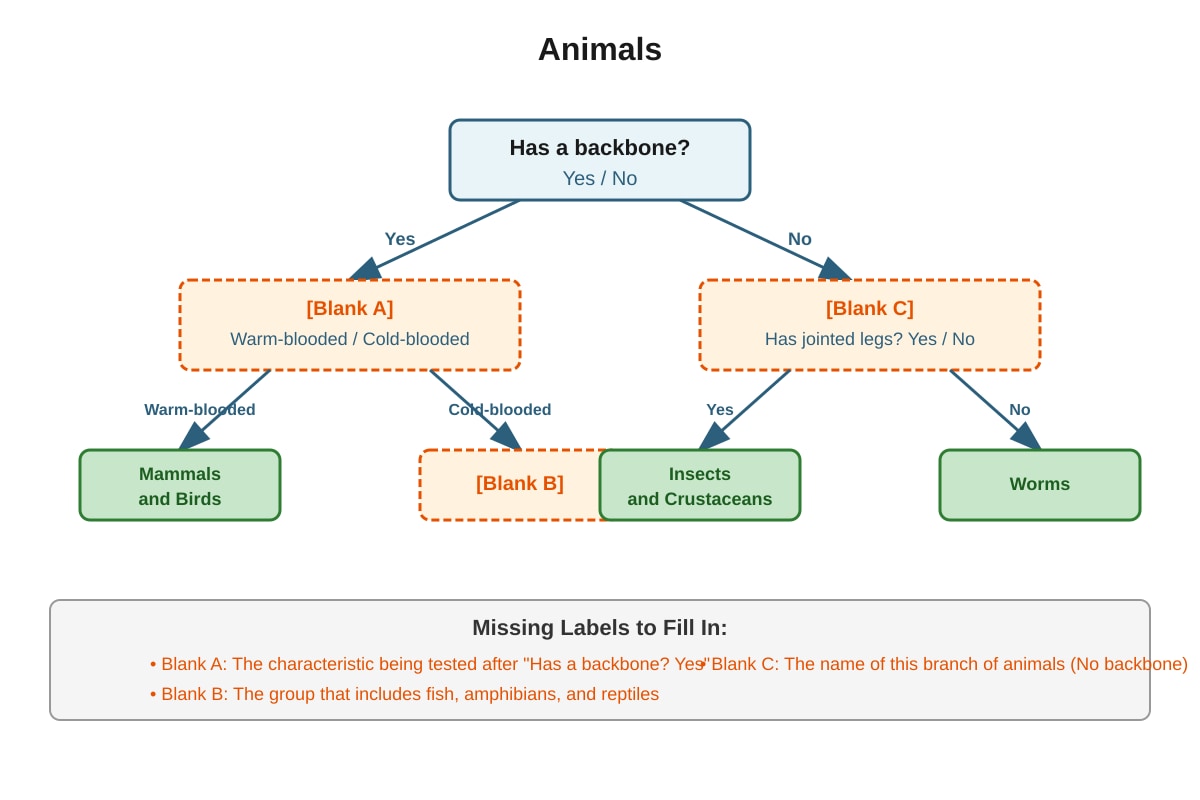 Diagram for Q22 (P6 Science)
