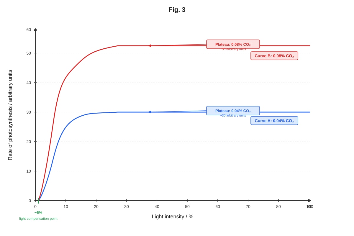 Graph for Q16 (ALEVEL Biology H1)