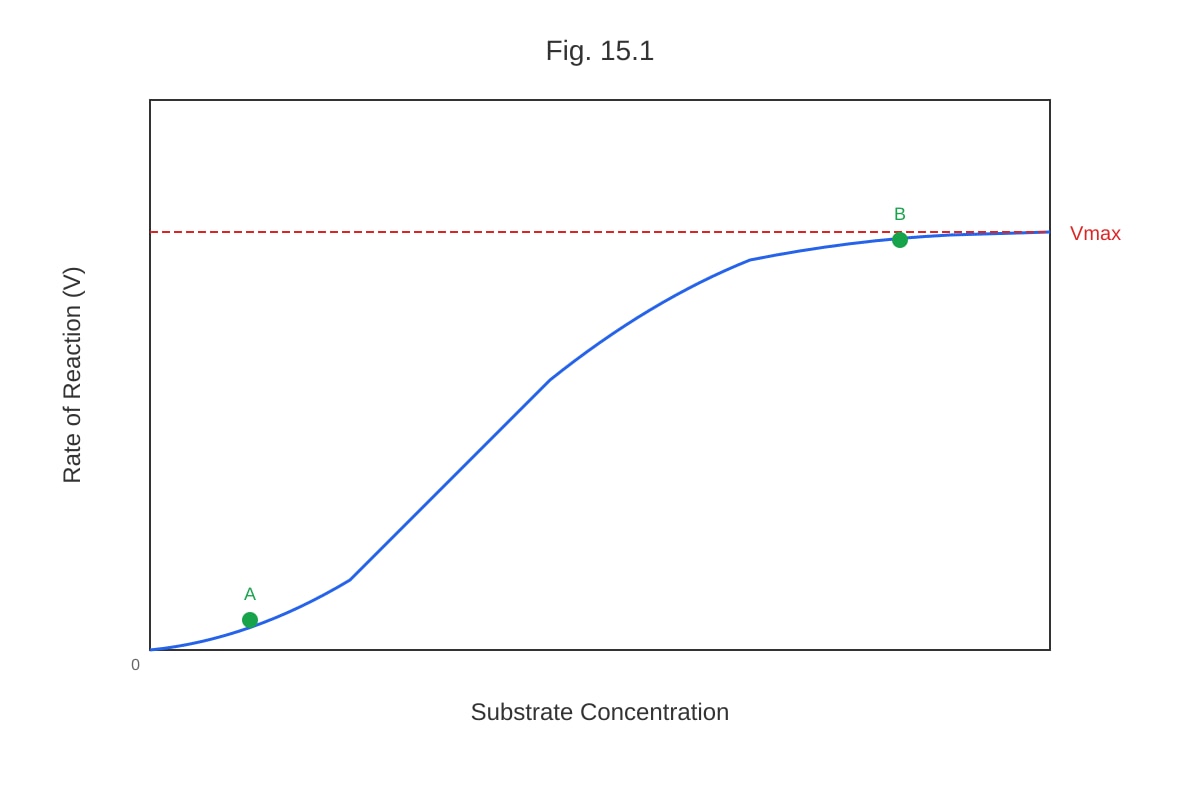 Graph for placeholder 2 (ALEVEL Biology H1)