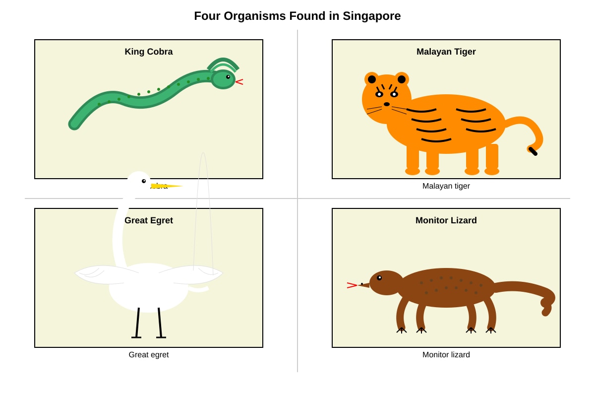 Diagram for Q22 (P6 Science)