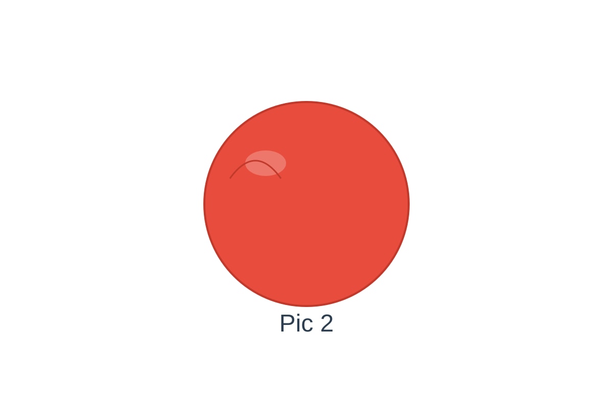 Figure for Q10 (P1 Tamil)